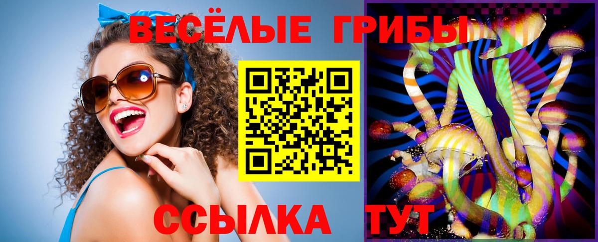 Галлюциногенные грибы прущие грибы  Вход с VPN  Отрадное  Псилоцибиновые грибы прущие грибы 