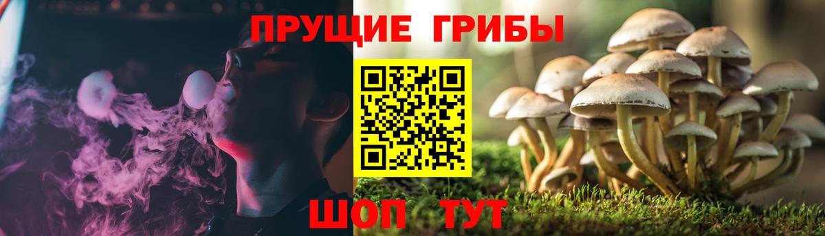 Псилоцибиновые грибы ЛСД Отрадное